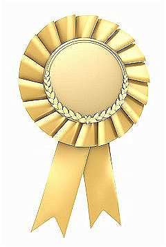 TCSE Distinguished Paper Award