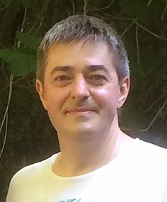 Radu Calinescu